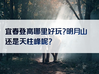 宜春登高哪里好玩？明月山还是天柱峰呢？