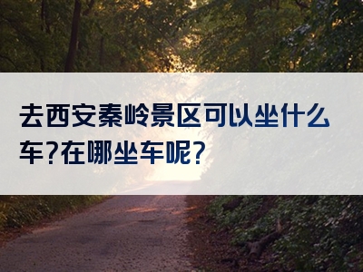 去西安秦岭景区可以坐什么车？在哪坐车呢？