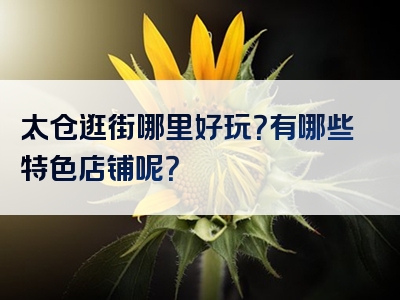 太仓逛街哪里好玩？有哪些特色店铺呢？