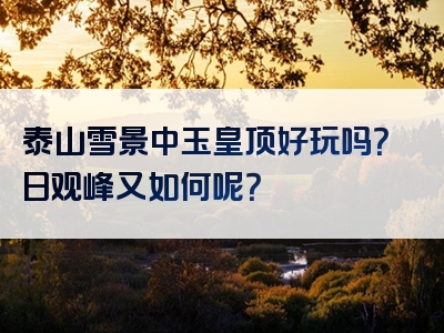 泰山雪景中玉皇顶好玩吗？日观峰又如何呢？