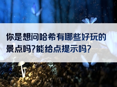 你是想问哈希有哪些好玩的景点吗？能给点提示吗？