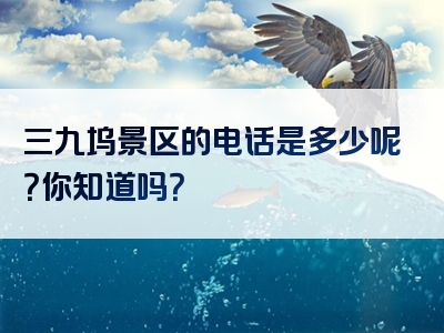 三九坞景区的电话是多少呢？你知道吗？