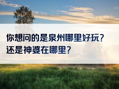 你想问的是泉州哪里好玩？还是神婆在哪里？
