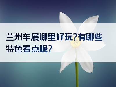 兰州车展哪里好玩？有哪些特色看点呢？