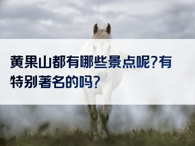黄果山都有哪些景点呢？有特别著名的吗？