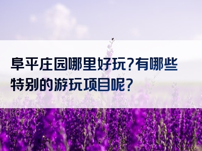 阜平庄园哪里好玩？有哪些特别的游玩项目呢？