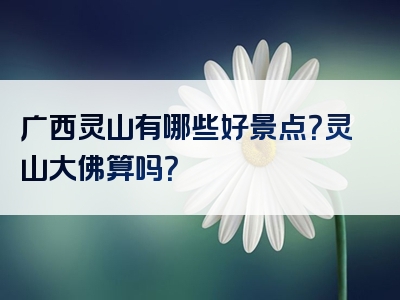 广西灵山有哪些好景点？灵山大佛算吗？