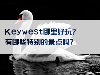 Keywest哪里好玩？有哪些特别的景点吗？