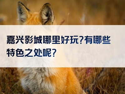 嘉兴影城哪里好玩？有哪些特色之处呢？