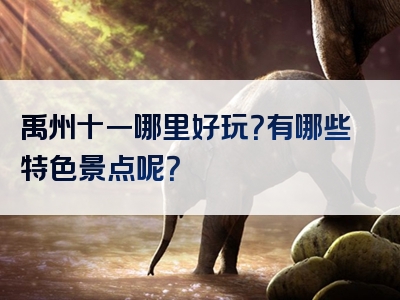 禹州十一哪里好玩？有哪些特色景点呢？