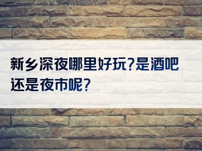 新乡深夜哪里好玩？是酒吧还是夜市呢？