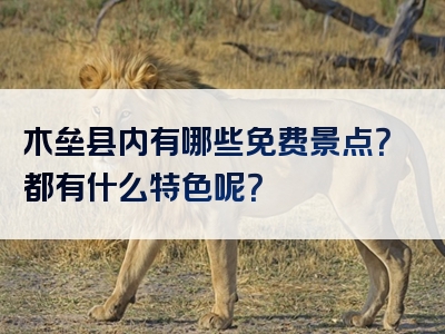 木垒县内有哪些免费景点？都有什么特色呢？
