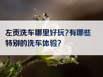 左贡洗车哪里好玩？有哪些特别的洗车体验？