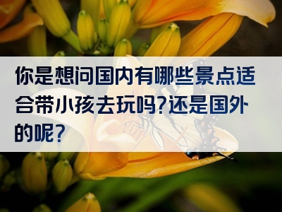 你是想问国内有哪些景点适合带小孩去玩吗？还是国外的呢？