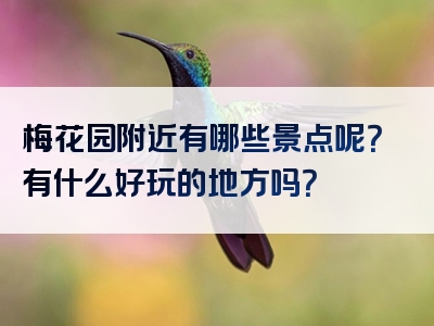 梅花园附近有哪些景点呢？有什么好玩的地方吗？
