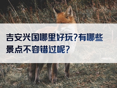 吉安兴国哪里好玩？有哪些景点不容错过呢？