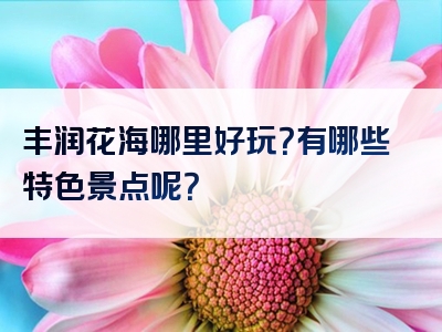 丰润花海哪里好玩？有哪些特色景点呢？