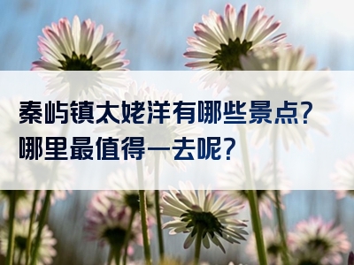 秦屿镇太姥洋有哪些景点？哪里最值得一去呢？