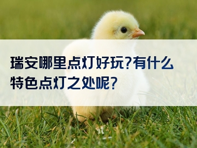 瑞安哪里点灯好玩？有什么特色点灯之处呢？