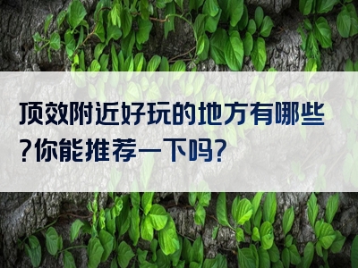 顶效附近好玩的地方有哪些？你能推荐一下吗？