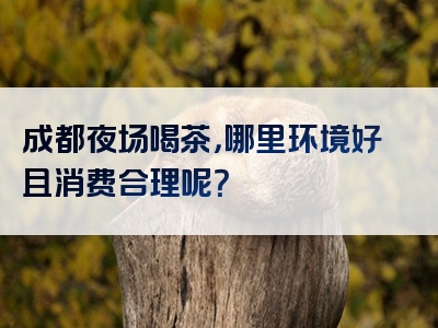 成都夜场喝茶，哪里环境好且消费合理呢？