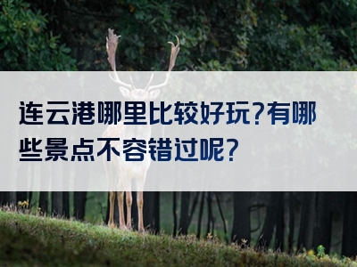 连云港哪里比较好玩？有哪些景点不容错过呢？