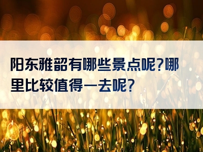 阳东雅韶有哪些景点呢？哪里比较值得一去呢？