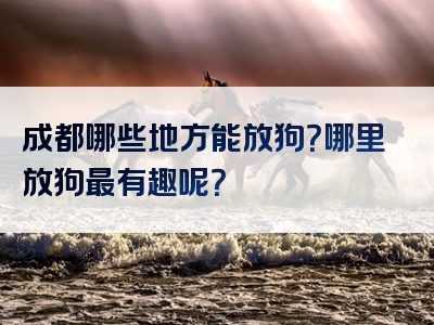 成都哪些地方能放狗？哪里放狗最有趣呢？