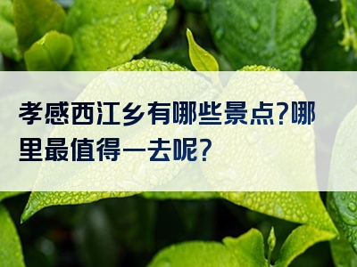 孝感西江乡有哪些景点？哪里最值得一去呢？
