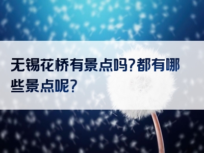 无锡花桥有景点吗？都有哪些景点呢？