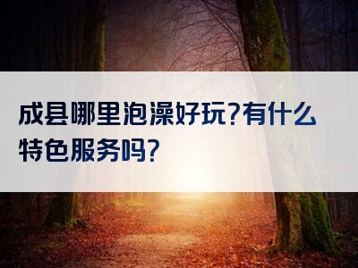 成县哪里泡澡好玩？有什么特色服务吗？