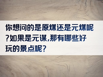 你想问的是原煤还是元煤呢？如果是元谋，那有哪些好玩的景点呢？