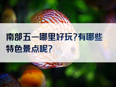 南部五一哪里好玩？有哪些特色景点呢？