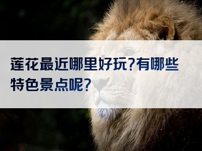 莲花最近哪里好玩？有哪些特色景点呢？