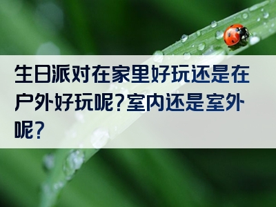生日派对在家里好玩还是在户外好玩呢？室内还是室外呢？