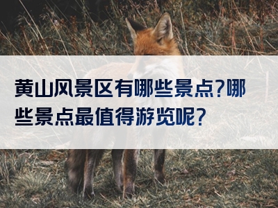黄山风景区有哪些景点？哪些景点最值得游览呢？