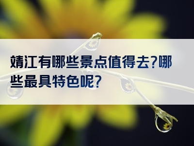 靖江有哪些景点值得去？哪些最具特色呢？