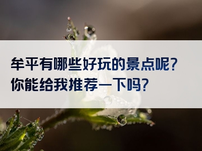 牟平有哪些好玩的景点呢？你能给我推荐一下吗？