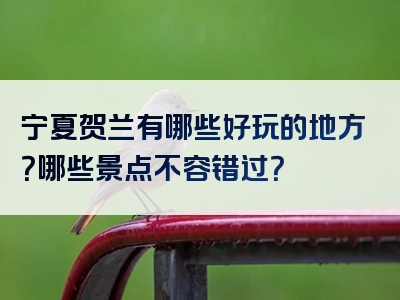 宁夏贺兰有哪些好玩的地方？哪些景点不容错过？
