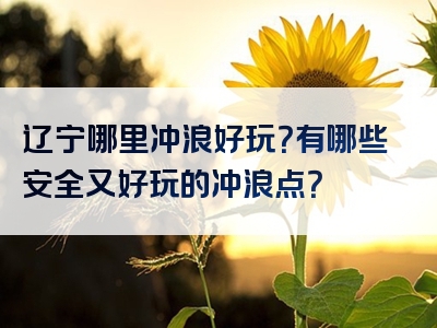辽宁哪里冲浪好玩？有哪些安全又好玩的冲浪点？