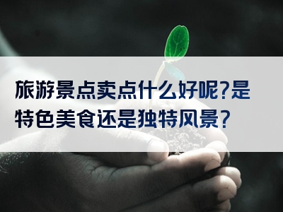 旅游景点卖点什么好呢？是特色美食还是独特风景？