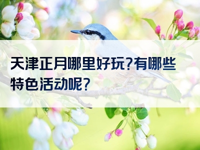 天津正月哪里好玩？有哪些特色活动呢？