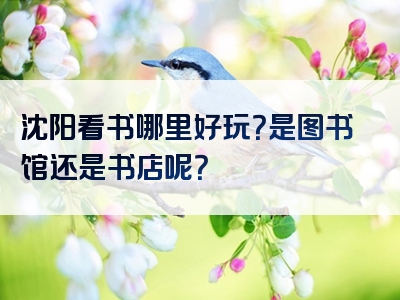 沈阳看书哪里好玩？是图书馆还是书店呢？