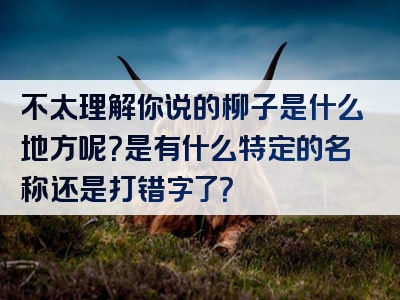 不太理解你说的柳子是什么地方呢？是有什么特定的名称还是打错字了？