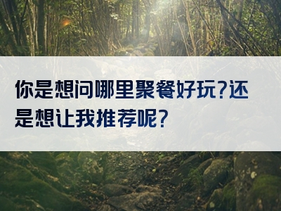 你是想问哪里聚餐好玩？还是想让我推荐呢？