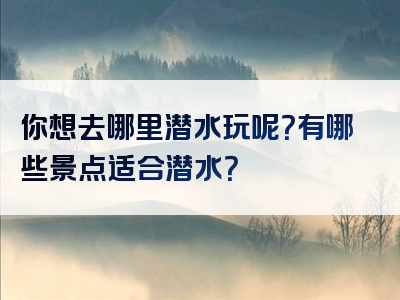 你想去哪里潜水玩呢？有哪些景点适合潜水？