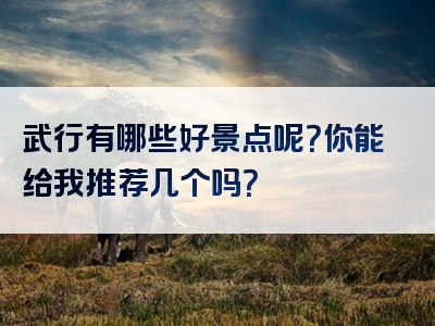 武行有哪些好景点呢？你能给我推荐几个吗？