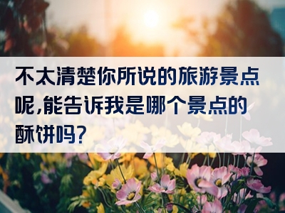不太清楚你所说的旅游景点呢，能告诉我是哪个景点的酥饼吗？