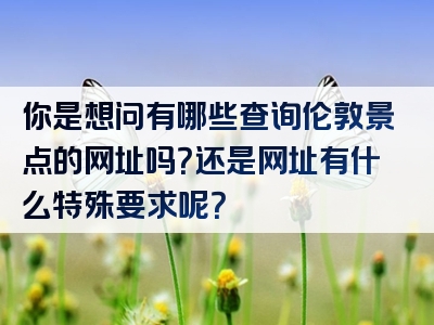 你是想问有哪些查询伦敦景点的网址吗？还是网址有什么特殊要求呢？