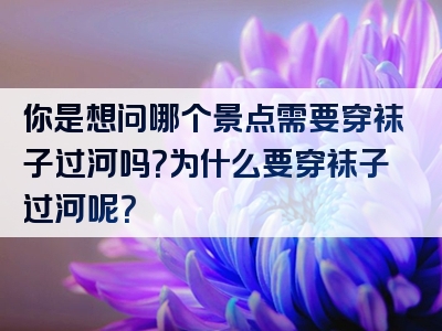 你是想问哪个景点需要穿袜子过河吗？为什么要穿袜子过河呢？